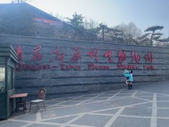-青藏高原野生动物园