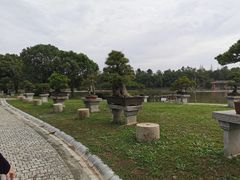 -上海海湾国家森林公园