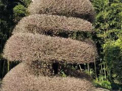 -苏州河梦清园环保主题公园