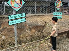 -鹿境梅花鹿生态园区