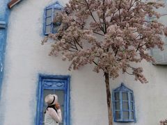 紫颐香薰山谷薰衣草庄园-紫颐香薰山谷景区
