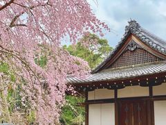-醍醐寺