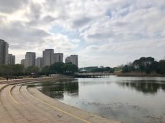 -新江湾城公园