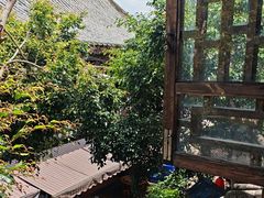 -香满楼(临安路店)