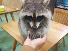 -藦茜花园宠物主题亲子互动体验馆(国顺东路店)