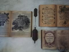 -春风·有糖(崇宁路店)