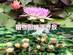-国家植物园南园