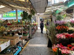 -曲阳花鸟市场(曲阳路店)