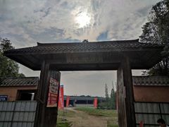 -秀丽东方