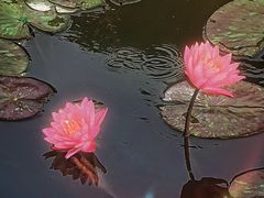 -黄兴公园