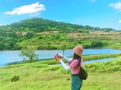 -大姆山草场