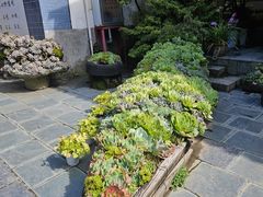 -寂照庵