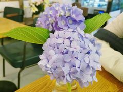 -唐咖精品咖啡(大理古城手冲店)