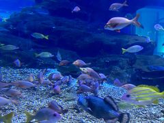 -海合安武汉极地海洋公园