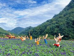 -广州市石门国家森林公园
