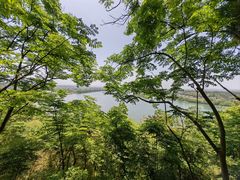 -常德桃花源景区