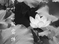 -梁鸿国家湿地公园