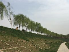 -洨河生态公园