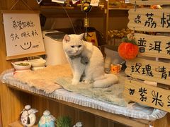 -笨罗卜浏阳菜馆(太平街店)
