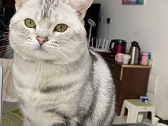 -宠颐生中康贝怡动物医院