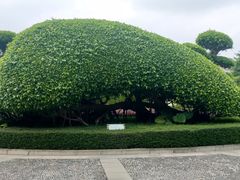-南宁南湖公园
