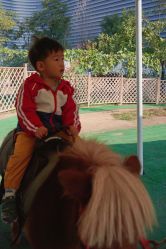 -萌宠亲子动物乐园(槐房万达店)