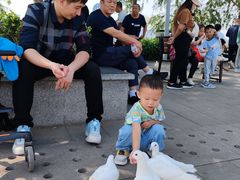 -天津妈祖文化园