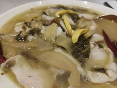 -席家花园(巨鹿花园店)