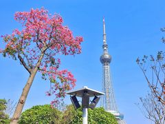 -文华公园(禅城区)