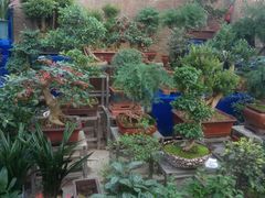 -秦美花卉(天朗·莱茵小城2期店)