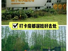 -前小桔亲子创意农场·草莓采摘·露营烧烤