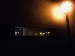 -春风习习