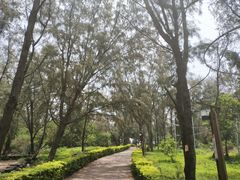 -漳州滨海火山岛自然生态风景区