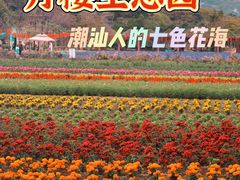 -丹樱生态园