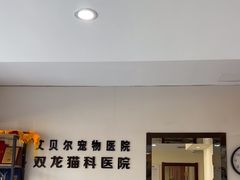 -艾贝尔宠物医院·24H转诊中心·肿瘤猫专科(江宁双龙店)