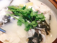 白汤有机鱼头-千岛湖小鱼儿·淳安匠心农家菜