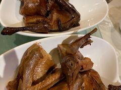 -食家鸽园