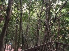 -七仙岭温泉国家森林公园