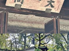 -天一阁博物院