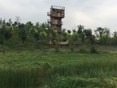 -东郊湿地公园