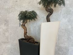 -上海宝华喜来登酒店·采悦轩中餐厅