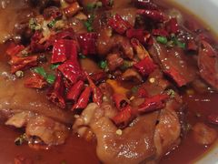 香辣美容蹄-雲蜀龙阁·金牌水煮鱼(方庄店)