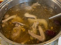 -百利鸽王(紫薇路店)