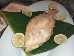盐烤红鲷鱼-Ginger(兴国路店)