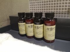 -南京禄口机场雅高铂尔曼大酒店