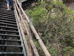-北京凤凰岭