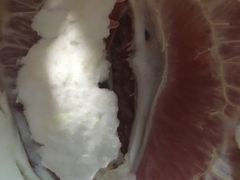 -百果园PAGODA(菊香苑店)