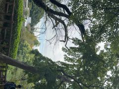 -井之头恩赐公园