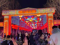 -淄博花灯齐彩城