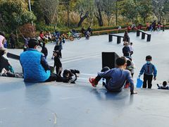-王借岗森林公园
